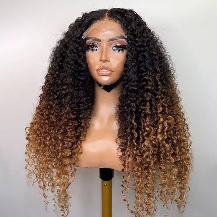 250% Density Full Curly HD Lace Front Wigs Pre bleached Glueless Ready To Go Human Hair Wigs